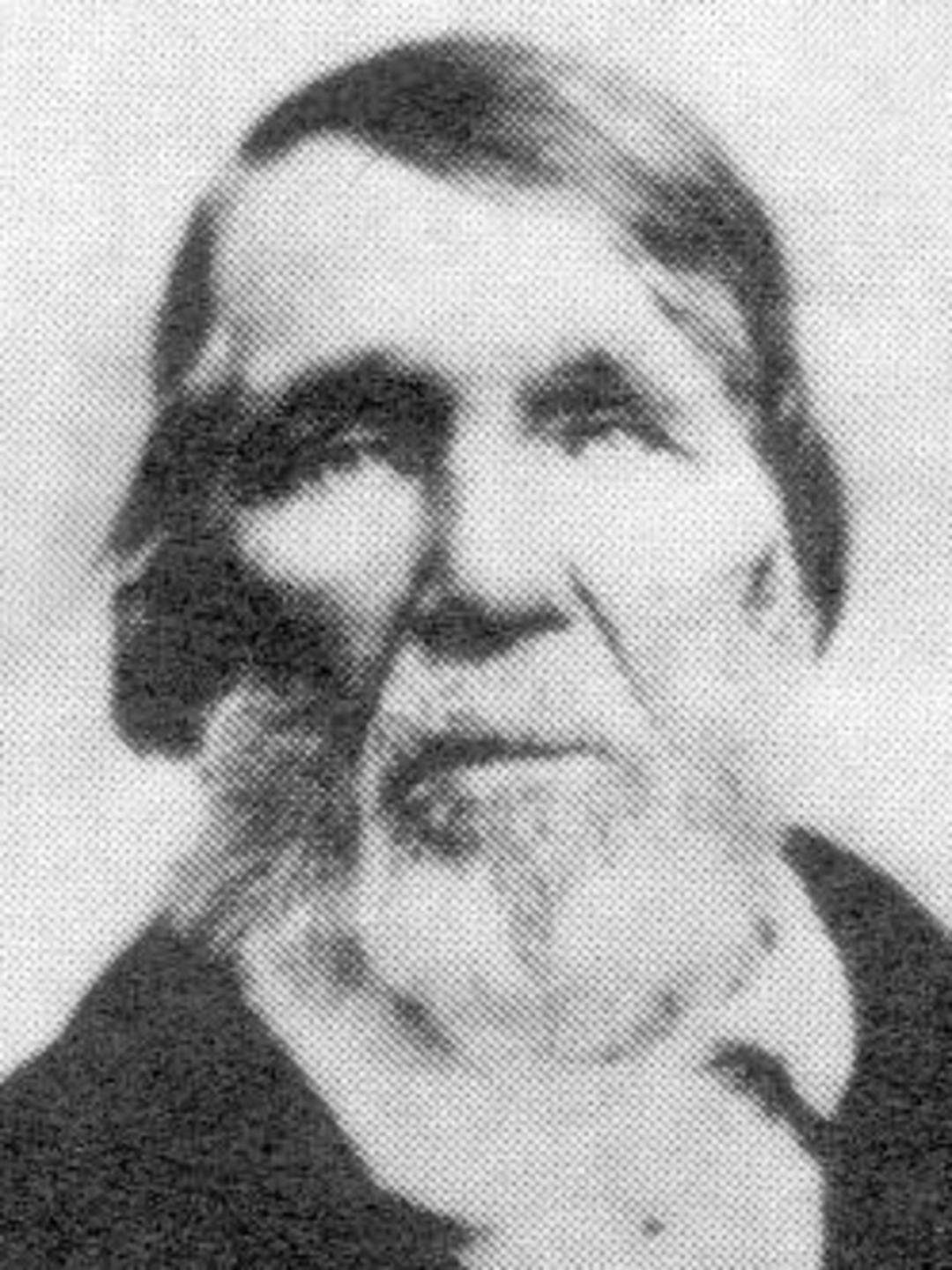 John Allen (1803 - 1885) Profile